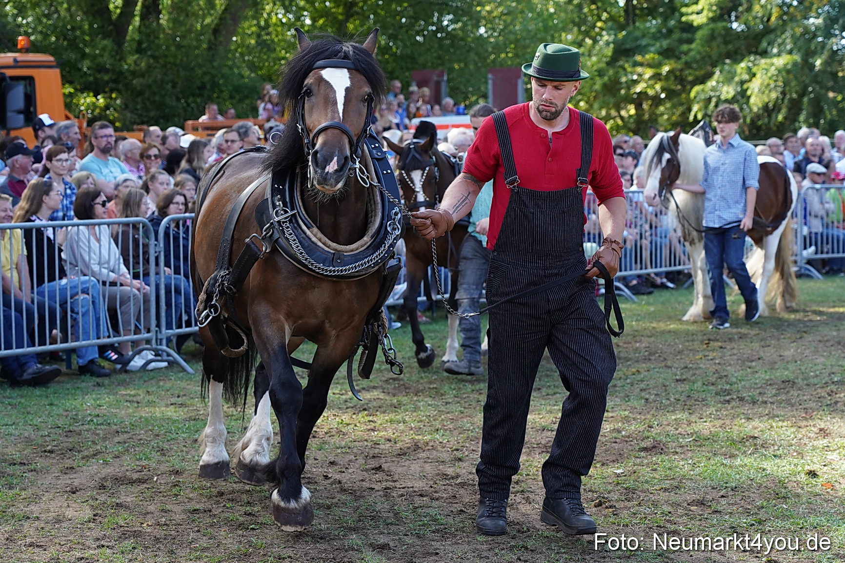 Pferde und Fohlenschau 2022 0169 